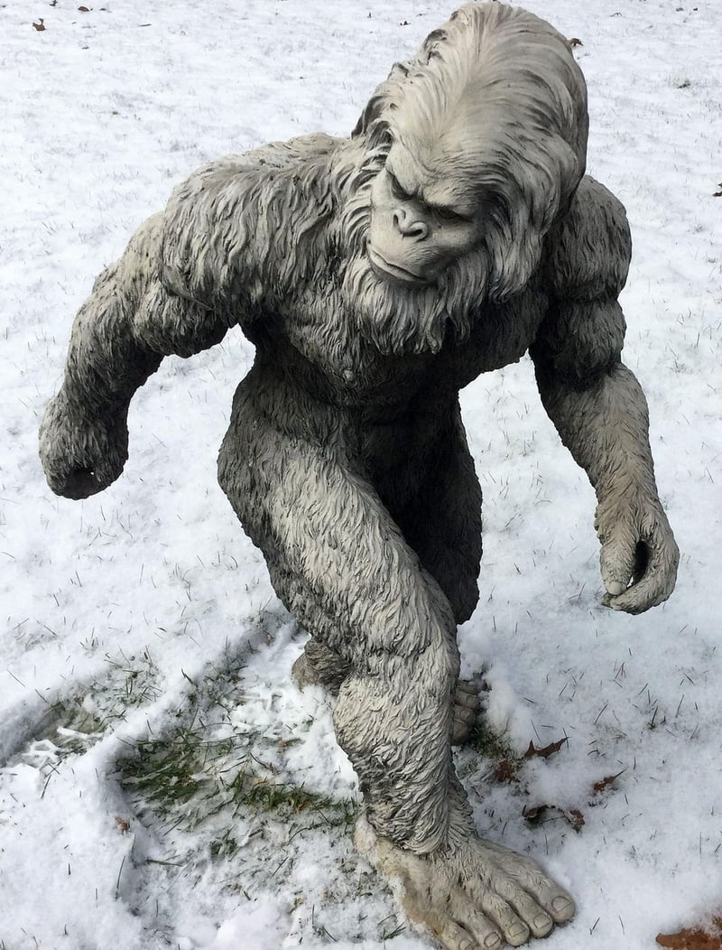 Cryptid Chronicles